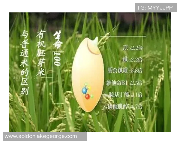 大米的营养价值、健康功效与全球种植分布探析