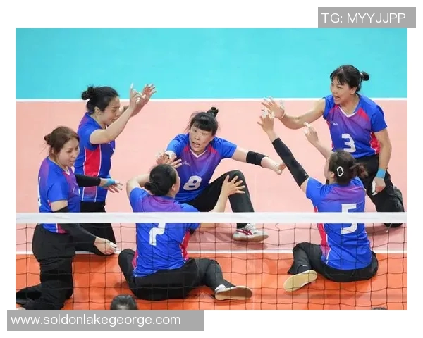 上海排球队的比赛经验分享与成长之路探讨