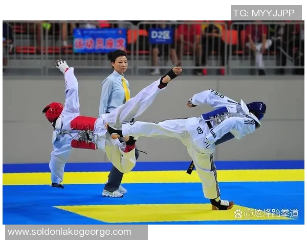 跆拳道的技巧与精神修养：从基础动作到心态锻炼的全面探索