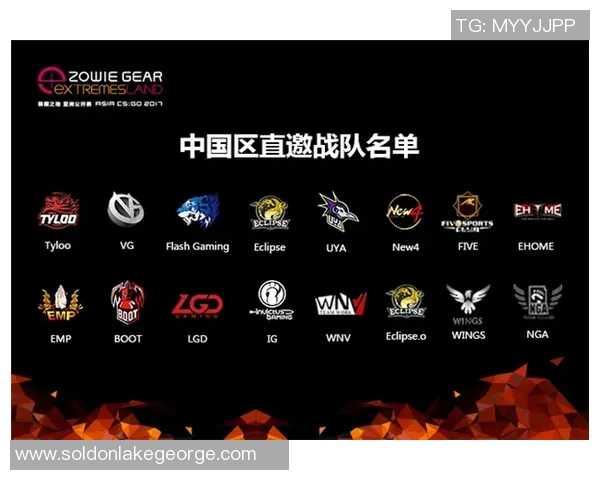 IG团队协作在CSGO中的关键作用与战术分析探讨